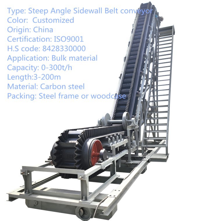 Vertical sidewall belt conveyor for space-saving lifting Vertical sidewall belt conveyor for space-saving lifting